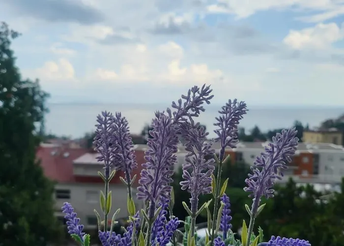 With Direct Sea View, Free Parking And Close To Beaches And Promenade Apartment Lovran