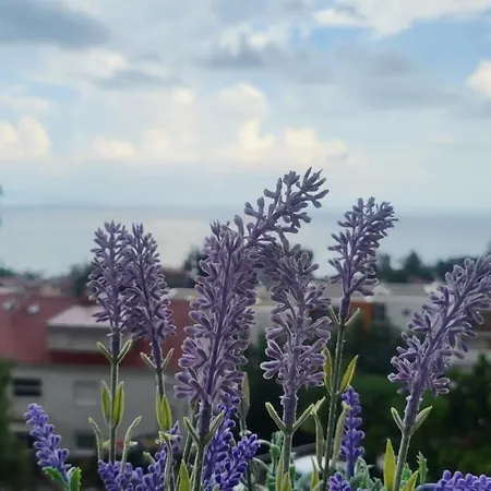 With Direct Sea View, Free Parking And Close To Beaches And Promenade Lägenhet Lovran