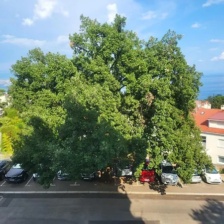 With Direct Sea View, Free Parking And Close To Beaches And Promenade Lejlighed